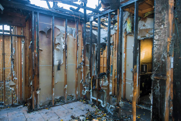 Professional Smoke Damage Removal technician working in Longmont, CO